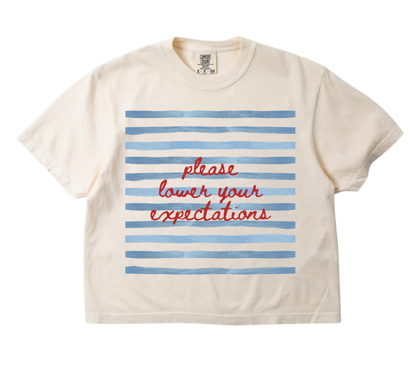 Please lower your expectations boxy tee