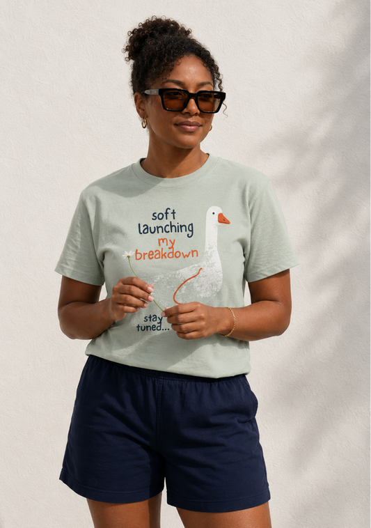 Soft launching my breakdown t-shirt
